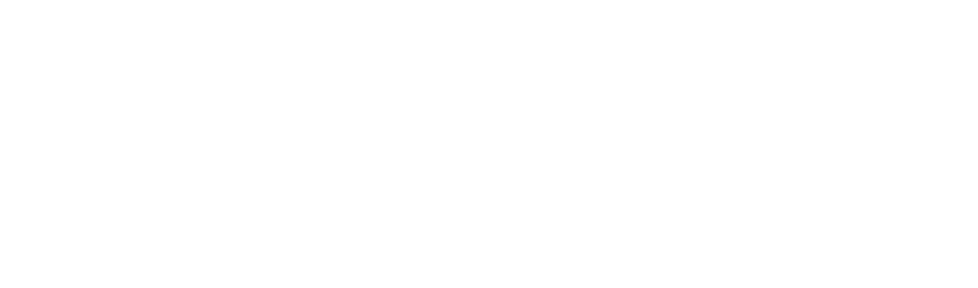 Wordmark, white