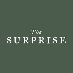 The Surprise