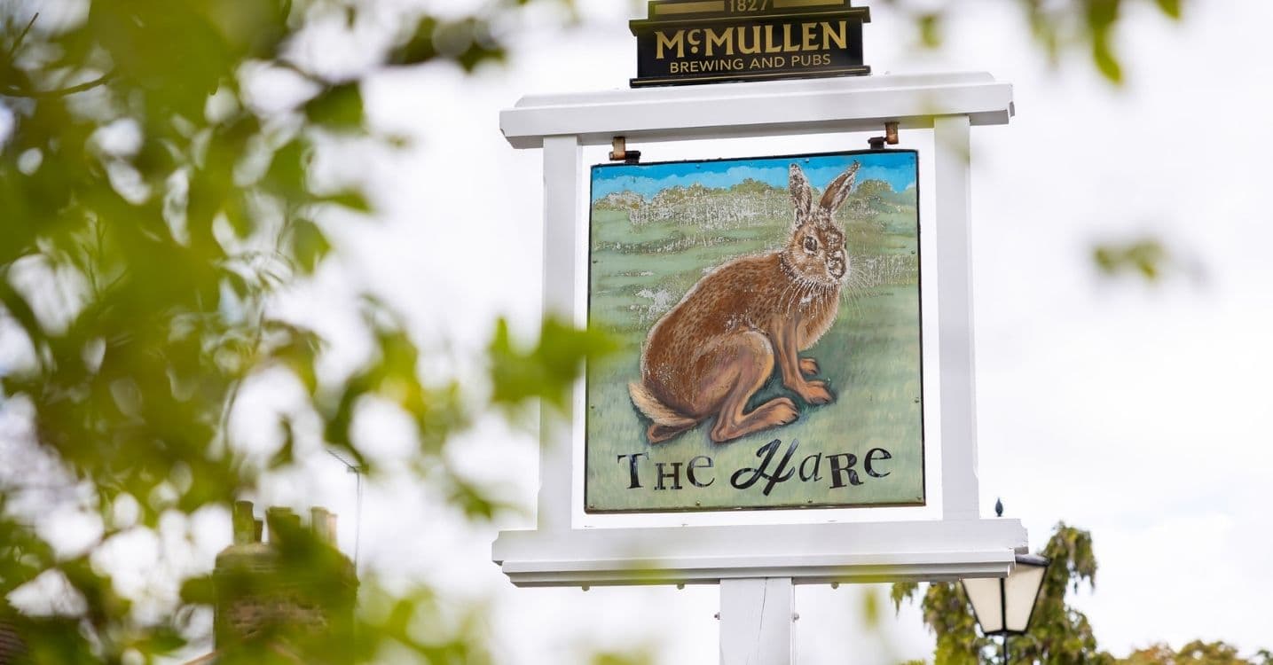 Hare