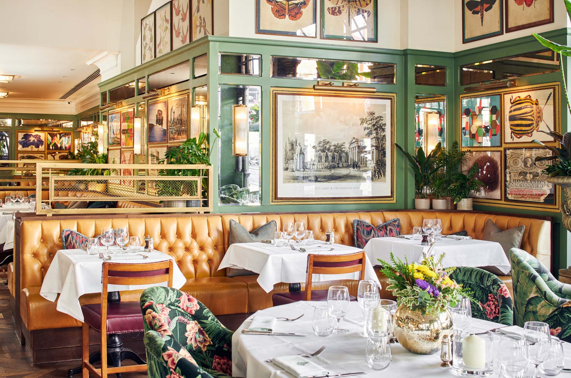 Ivy Collection - The Ivy York