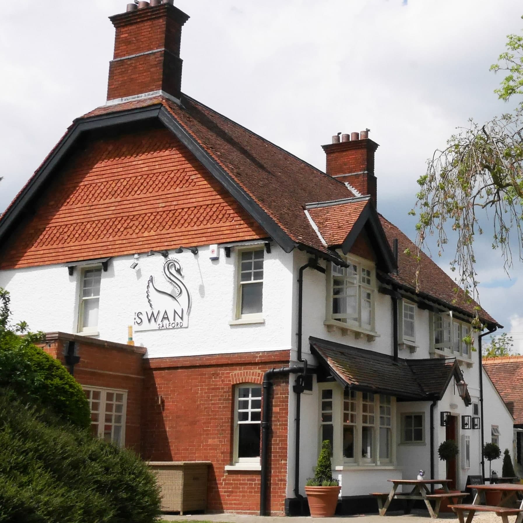 The Swan