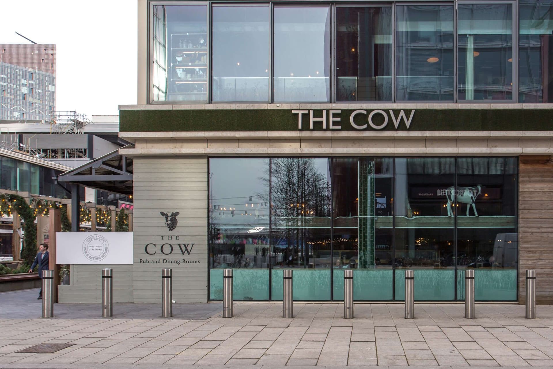 Cow