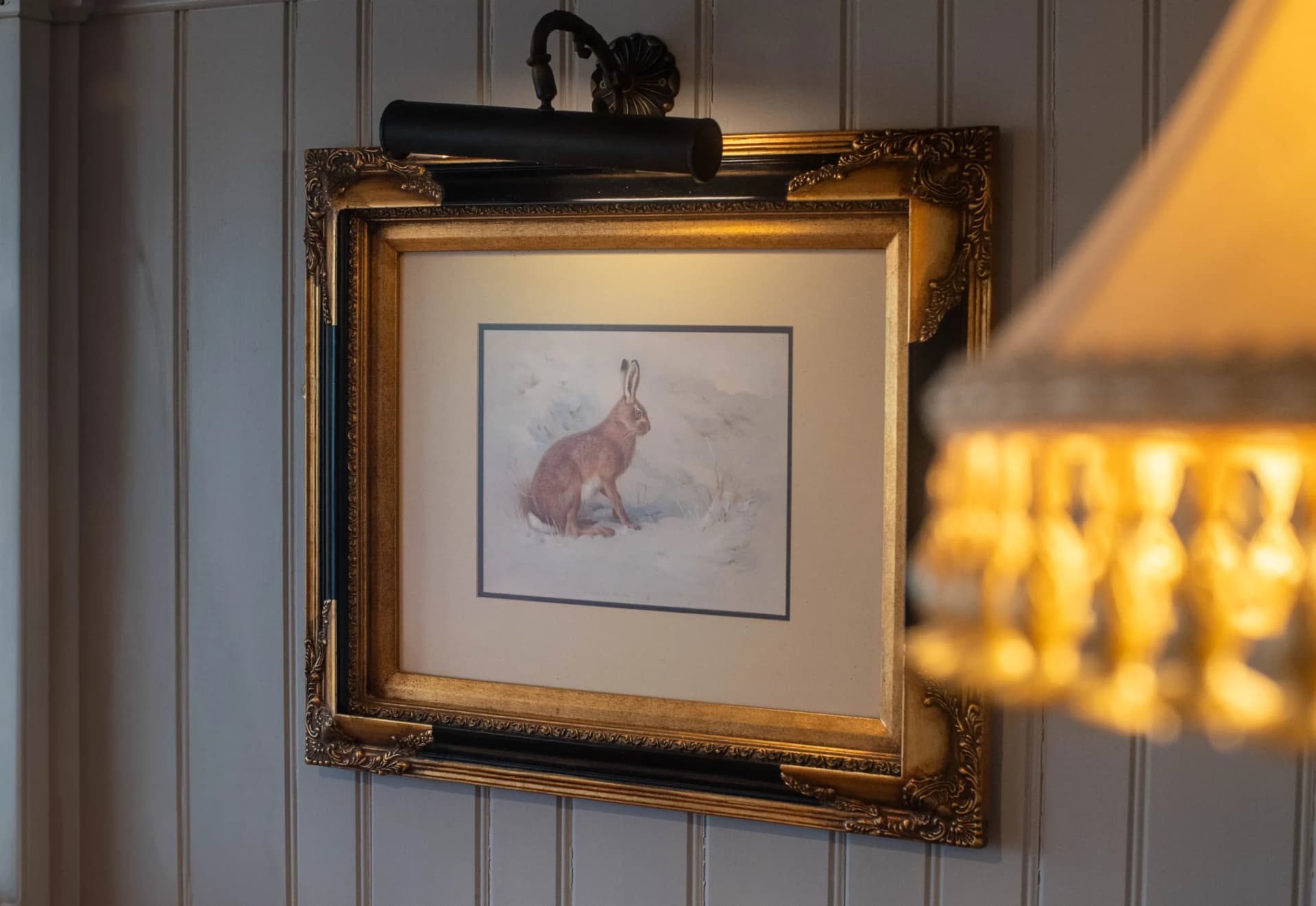The Hare