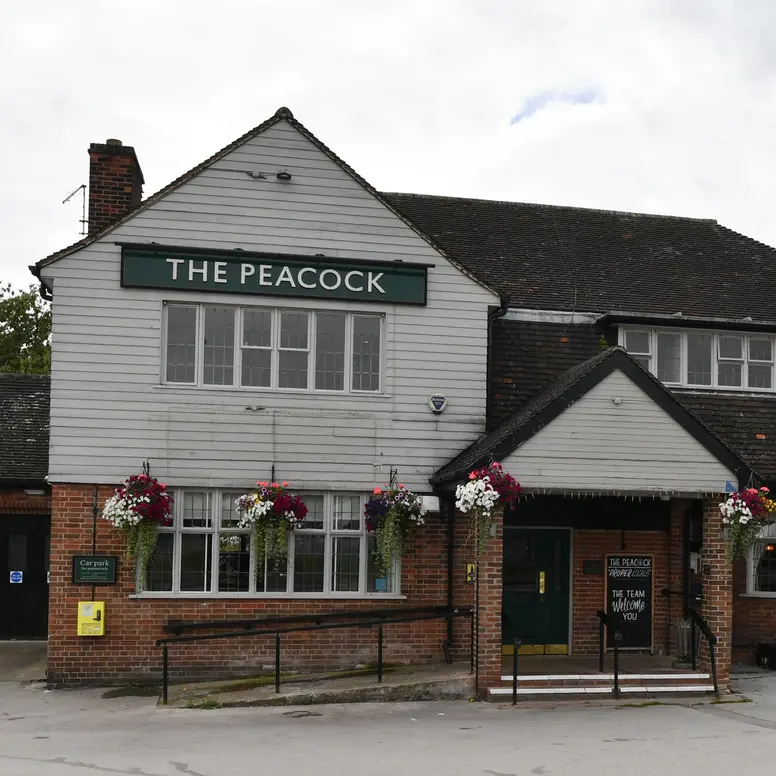 Peacock