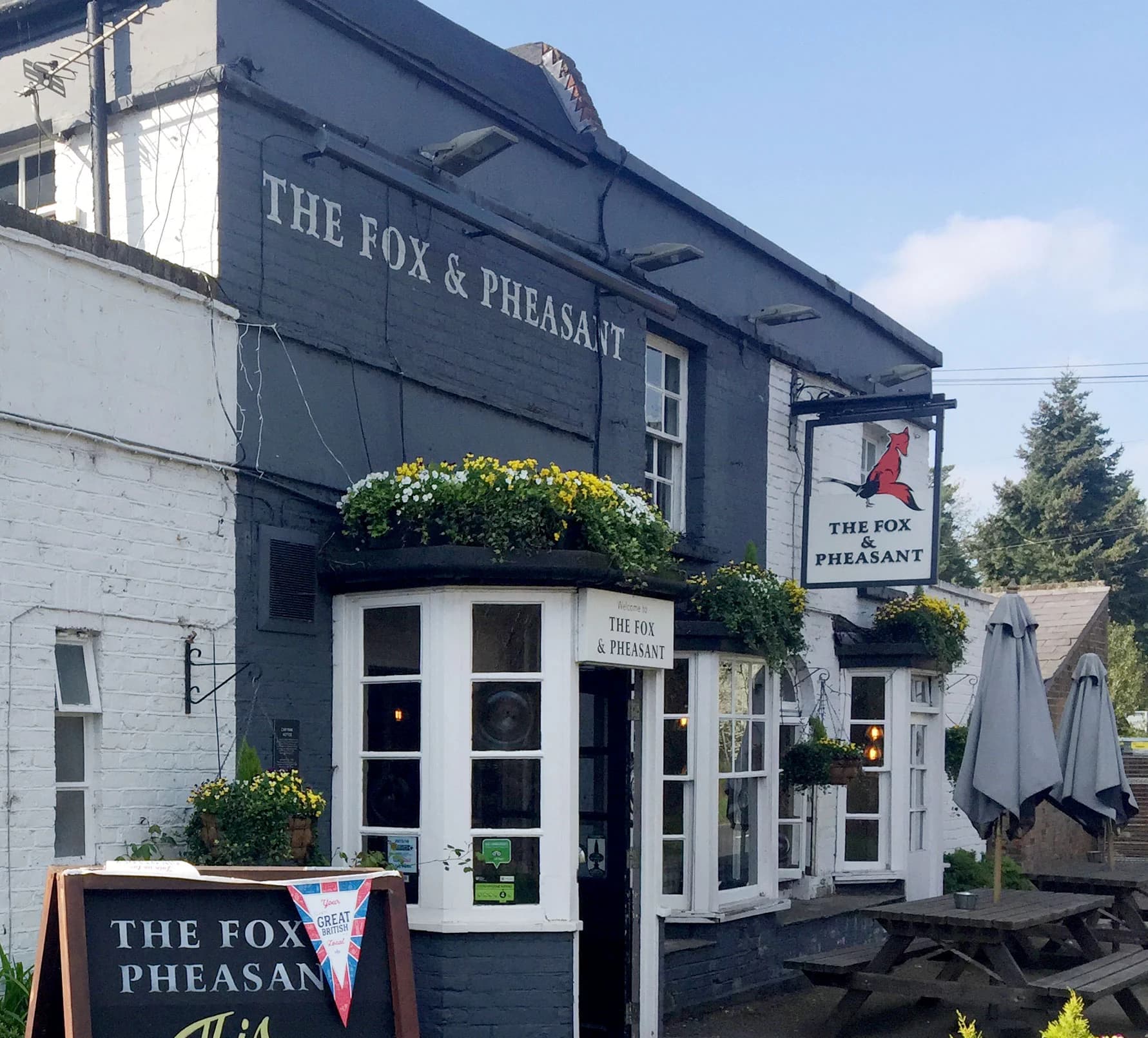 Fox & Pheasant