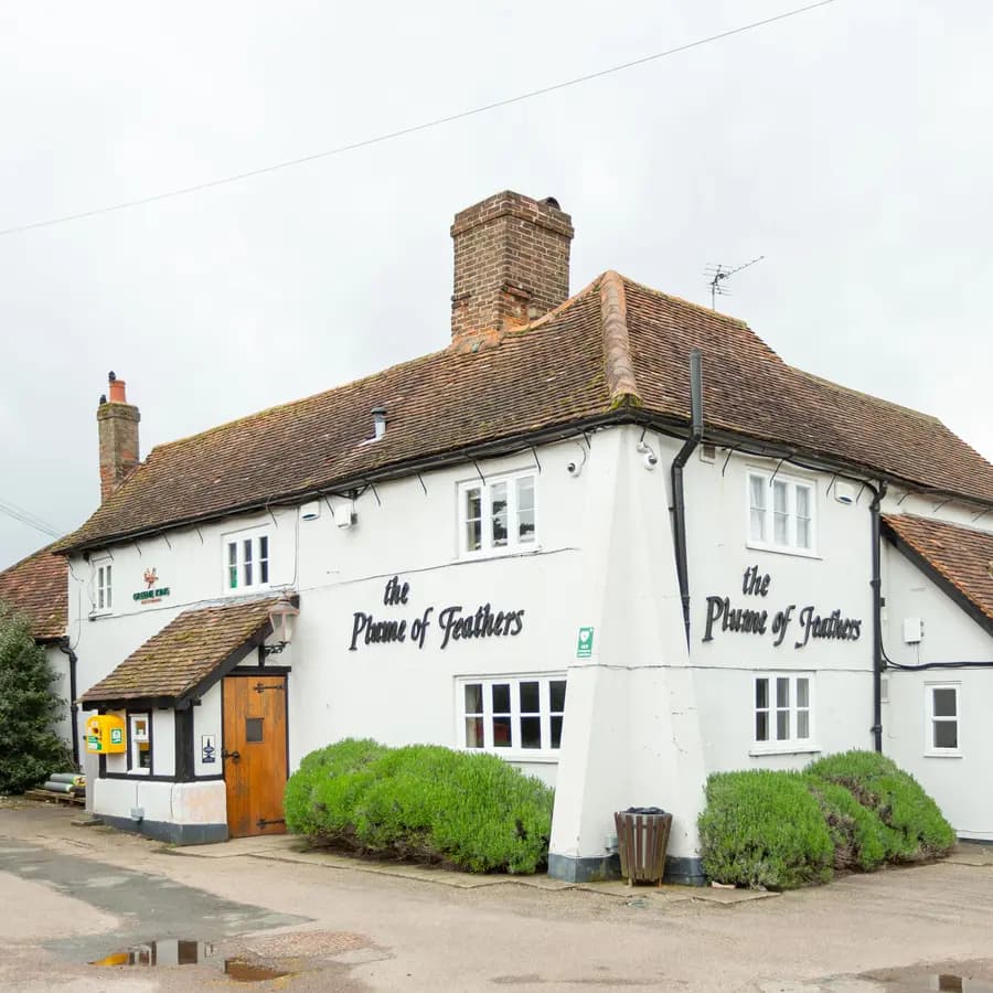 Plume of Feathers