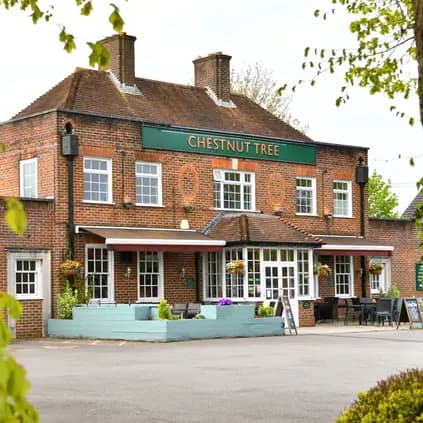 Chestnut Tree