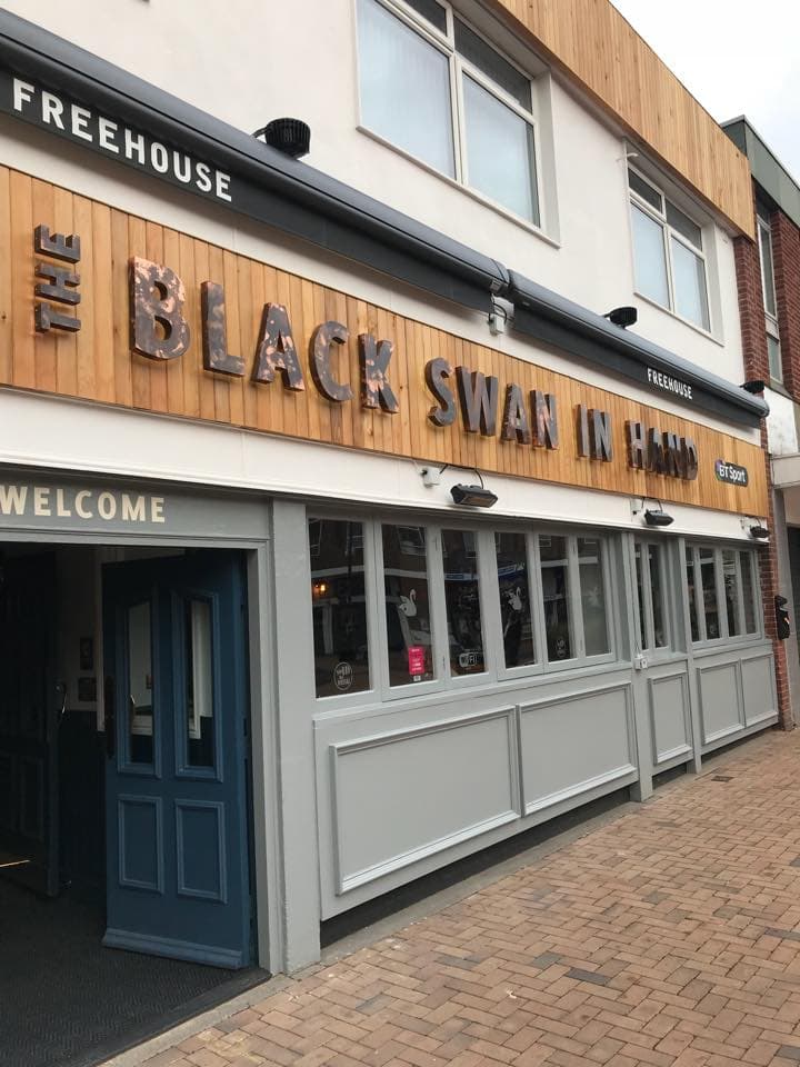 Black Swan In Hand