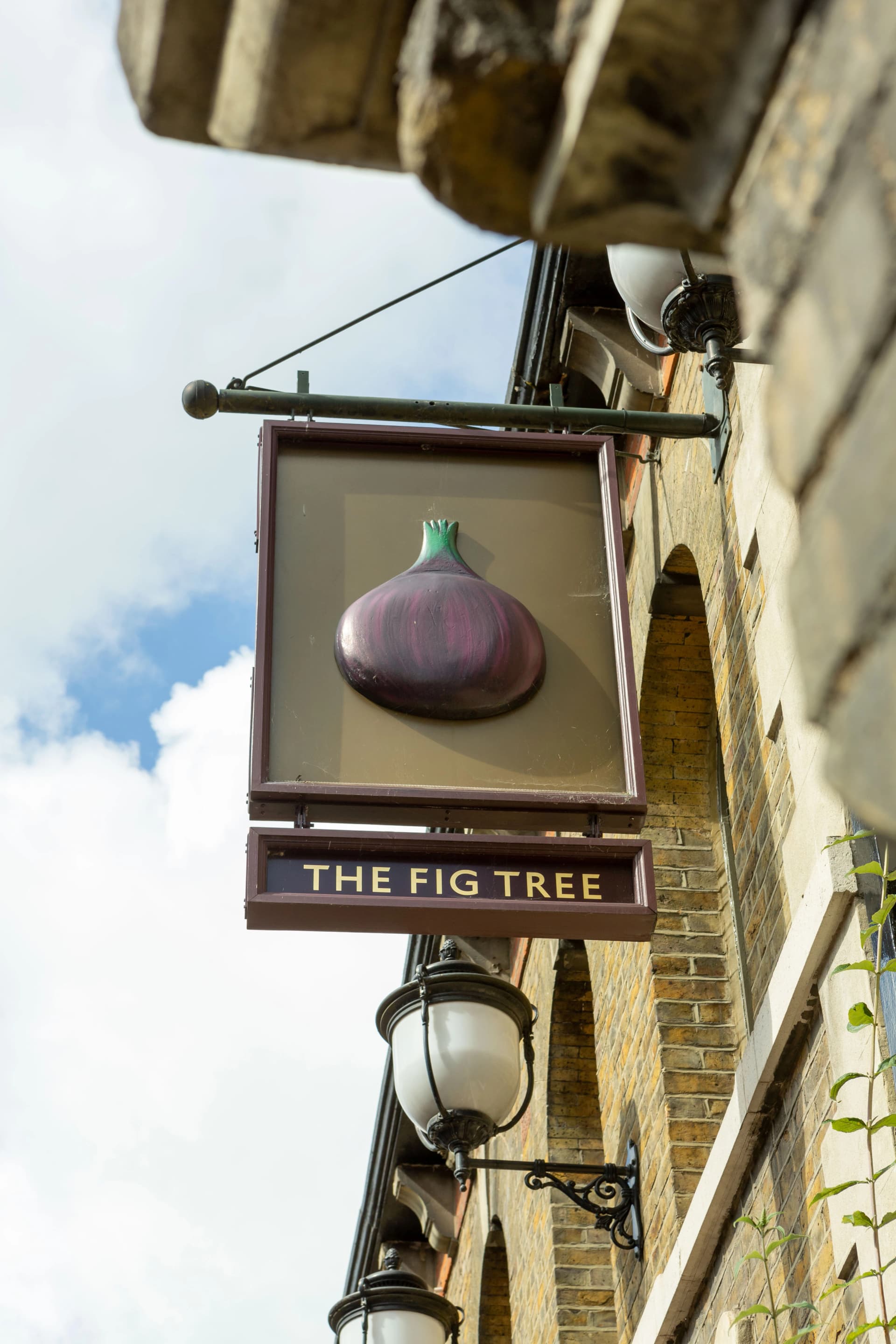 Fig Tree