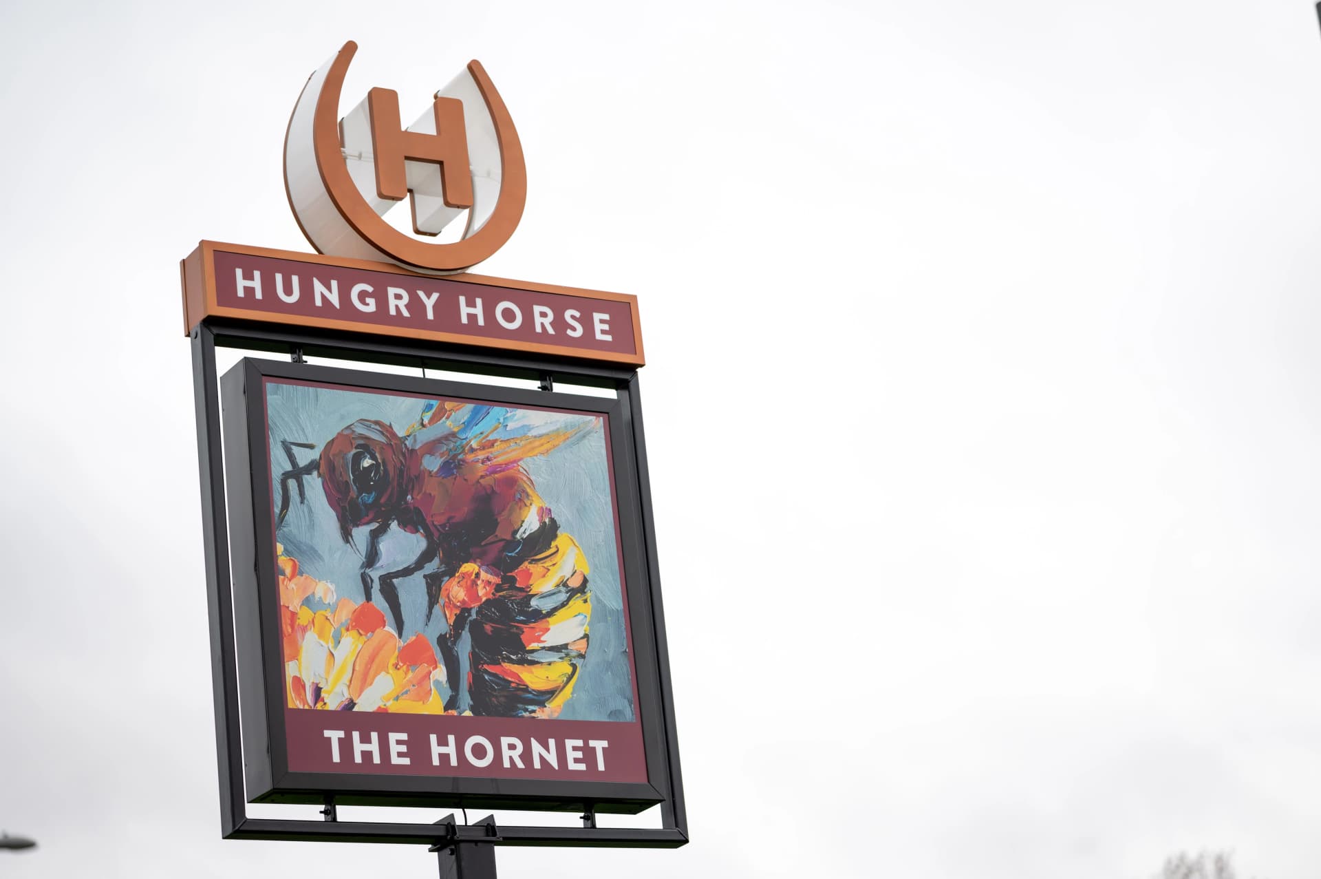 Hornet