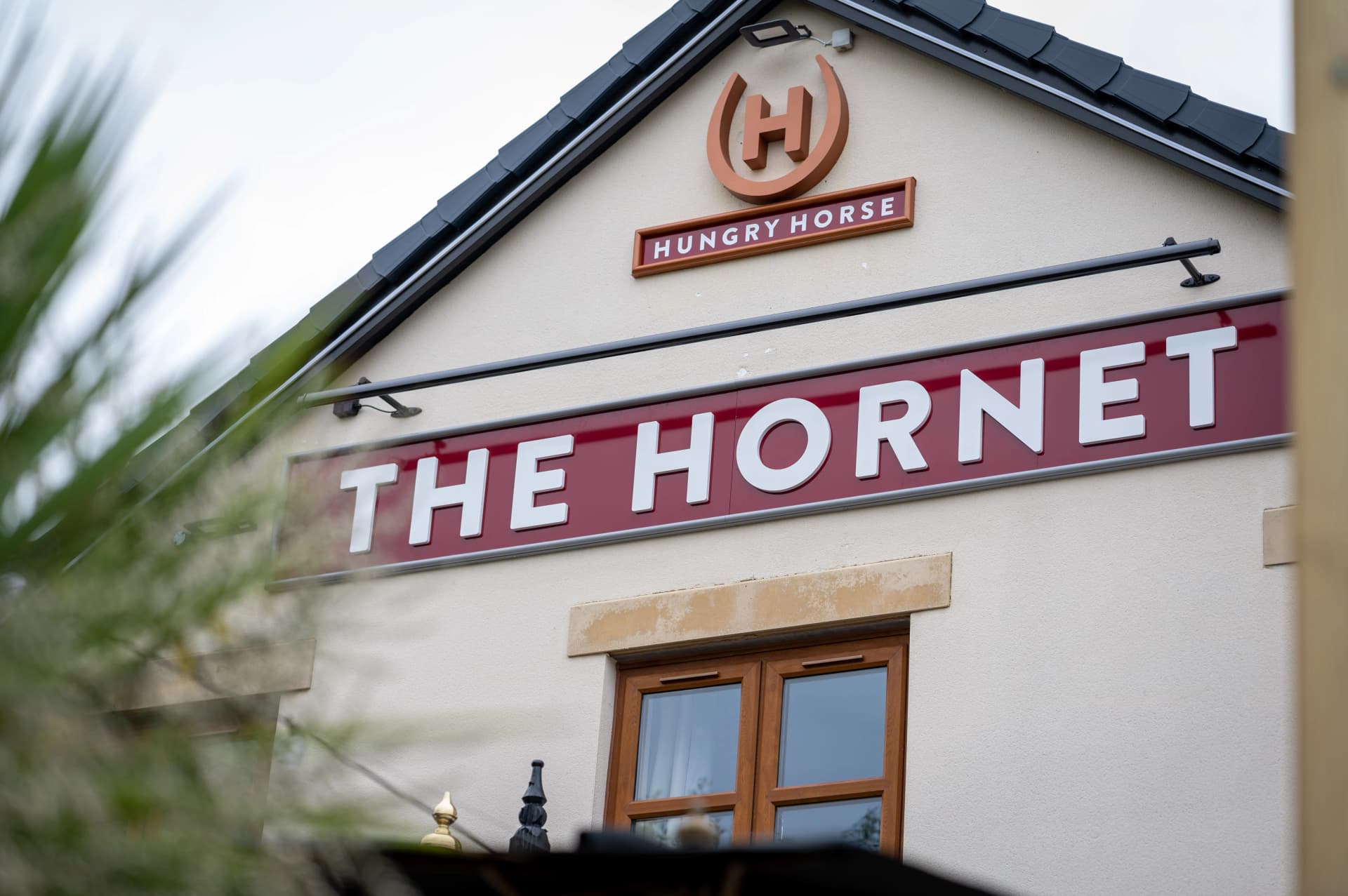Hornet