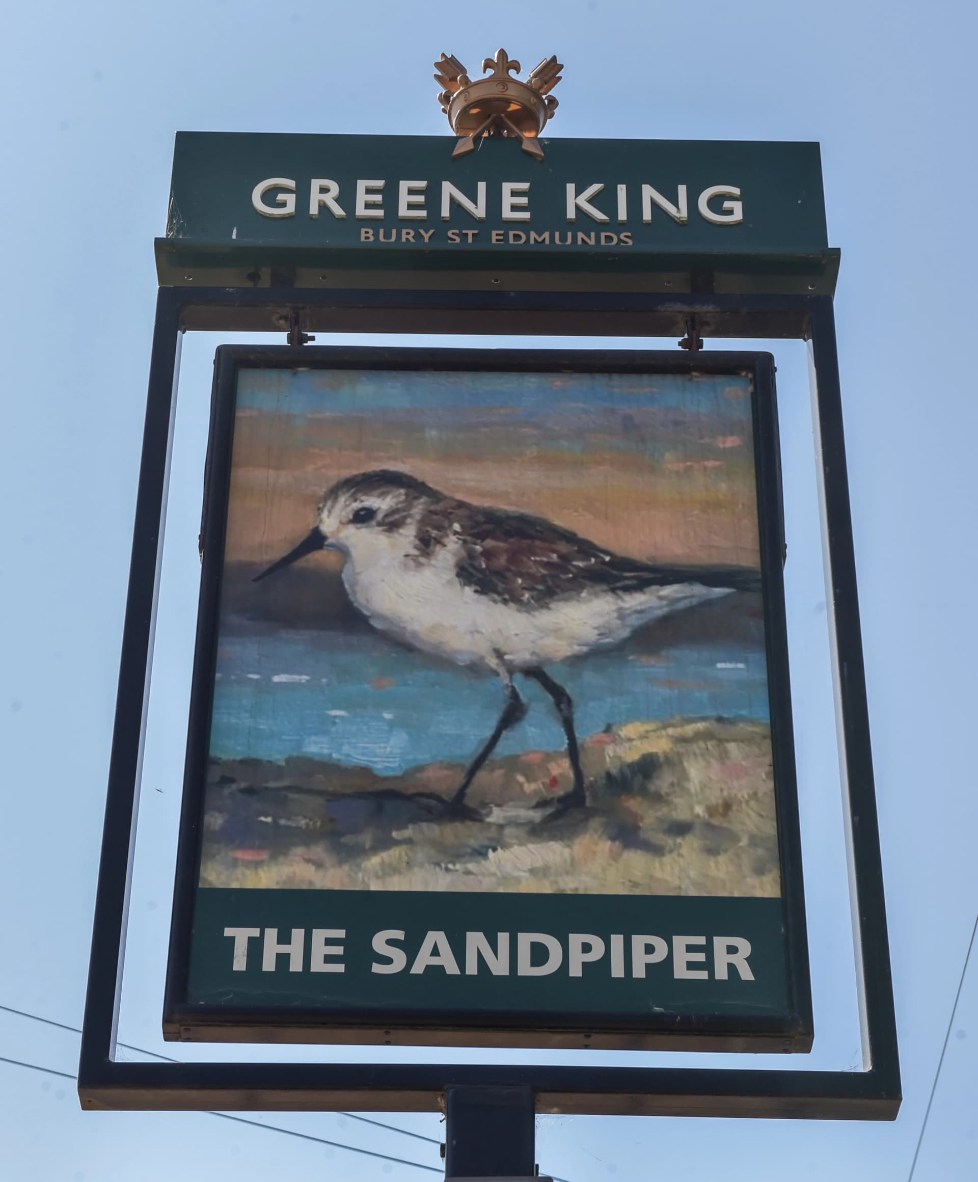 Sandpiper