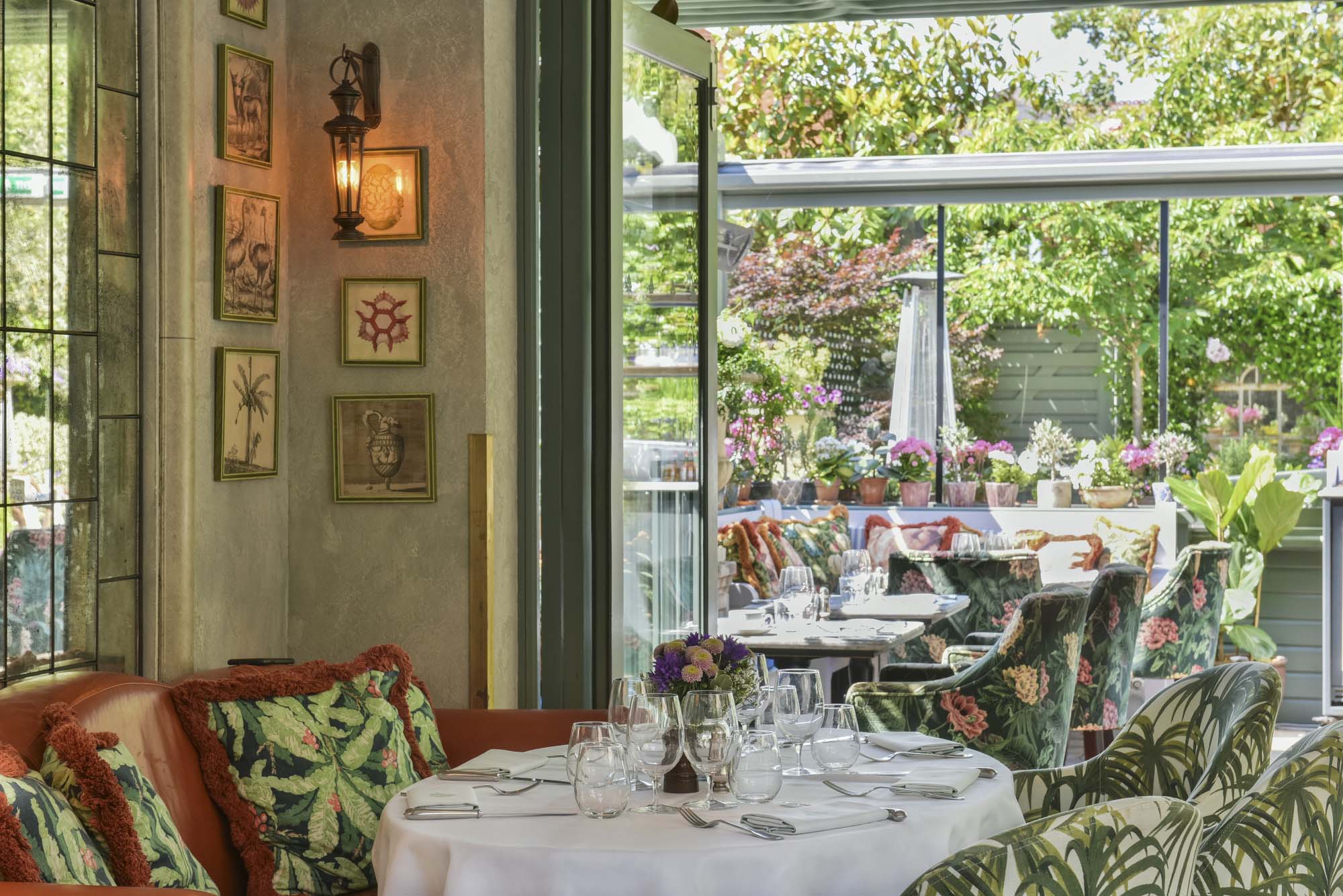 Ivy Collection - The Ivy Marlow Garden