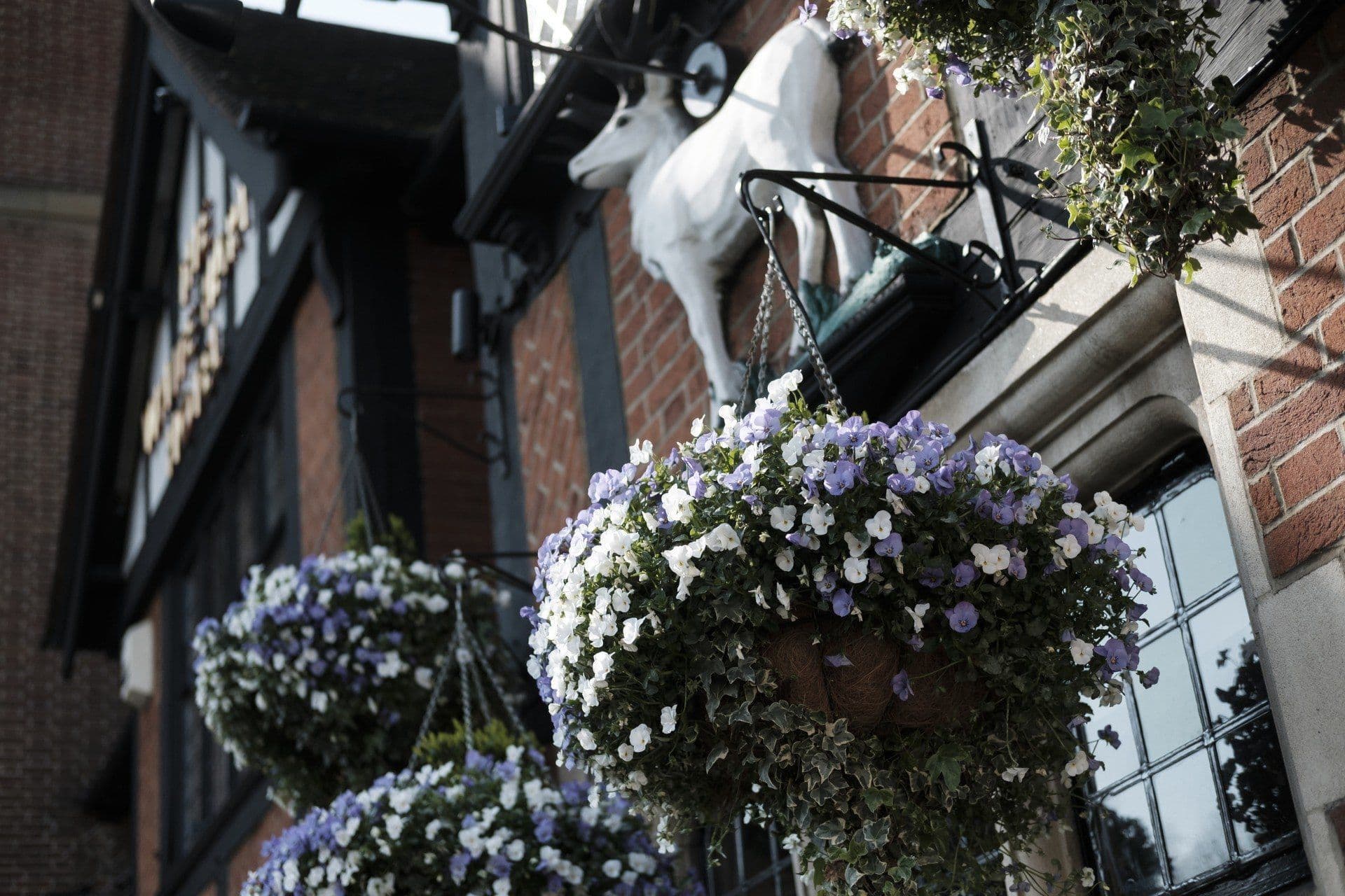 The White Hart Hotel, Hampton Wick