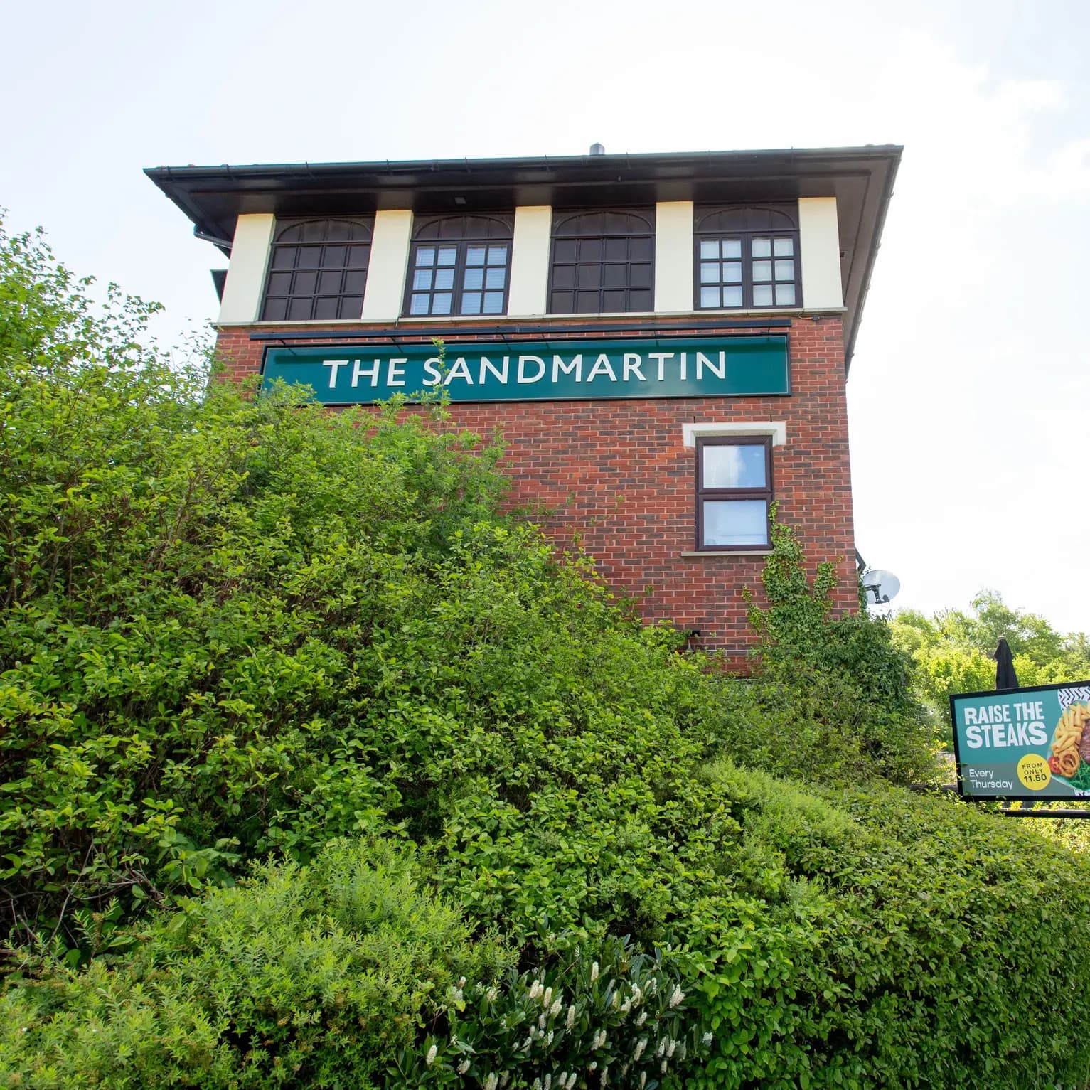 Sandmartin