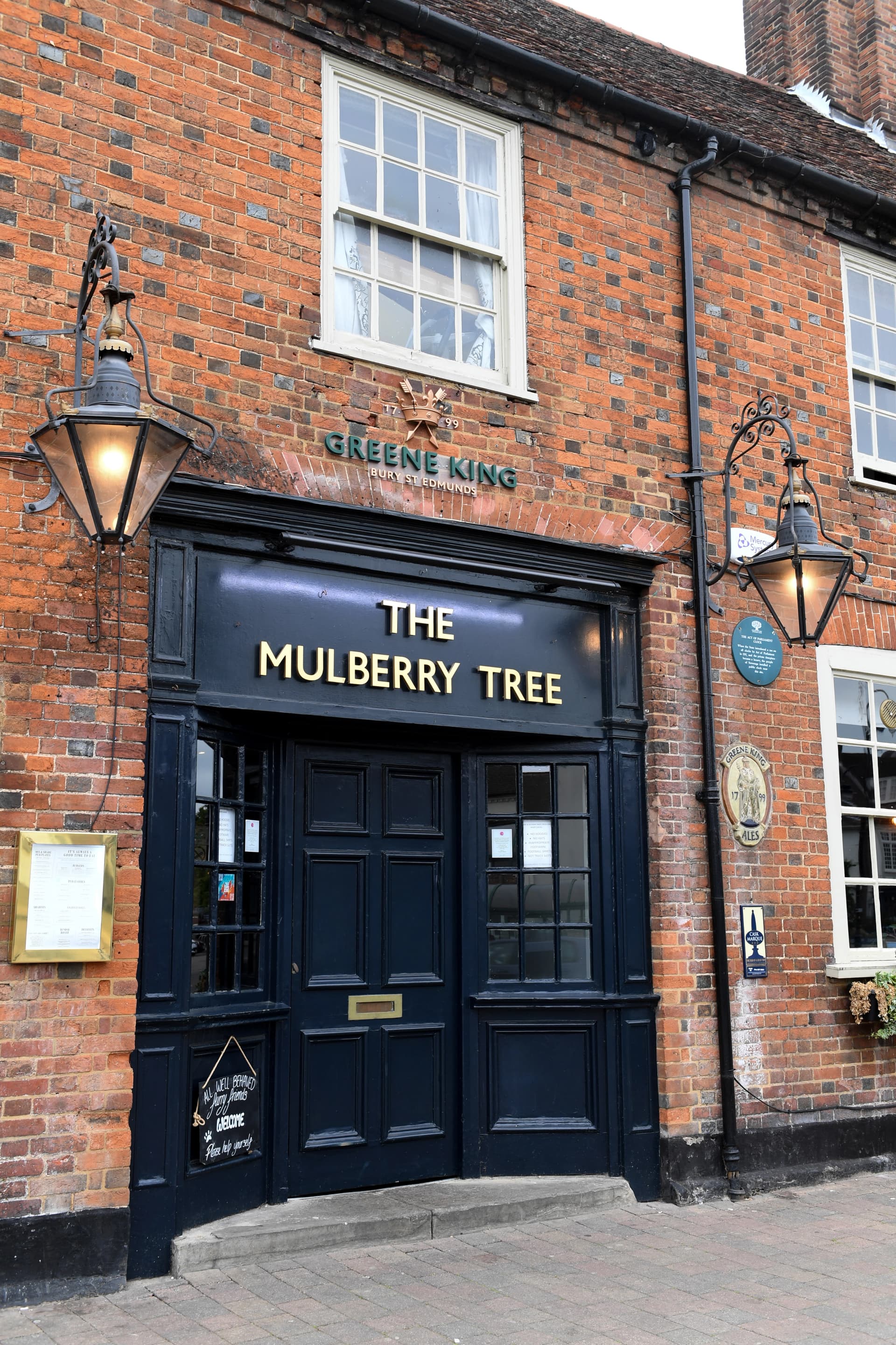 Mulberry Tree