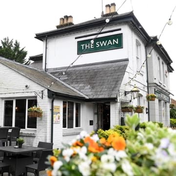 Swan