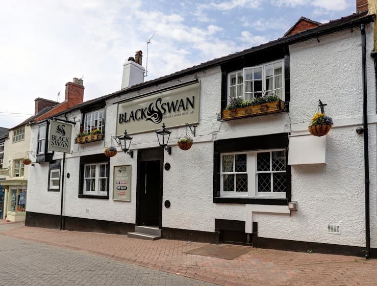 The Black Swan Leek