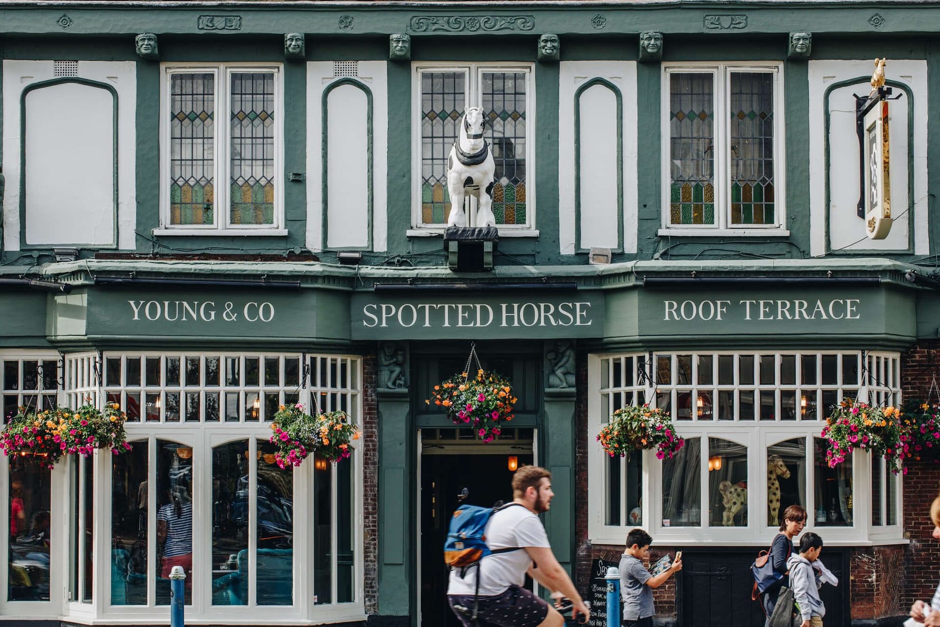 Spotted Horse