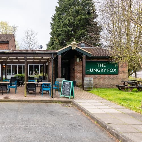Hungry Fox