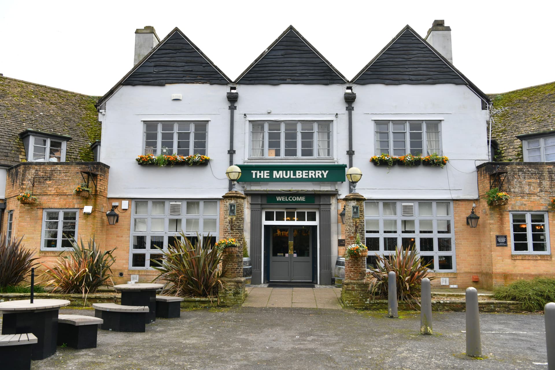 Mulberry