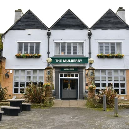 Mulberry