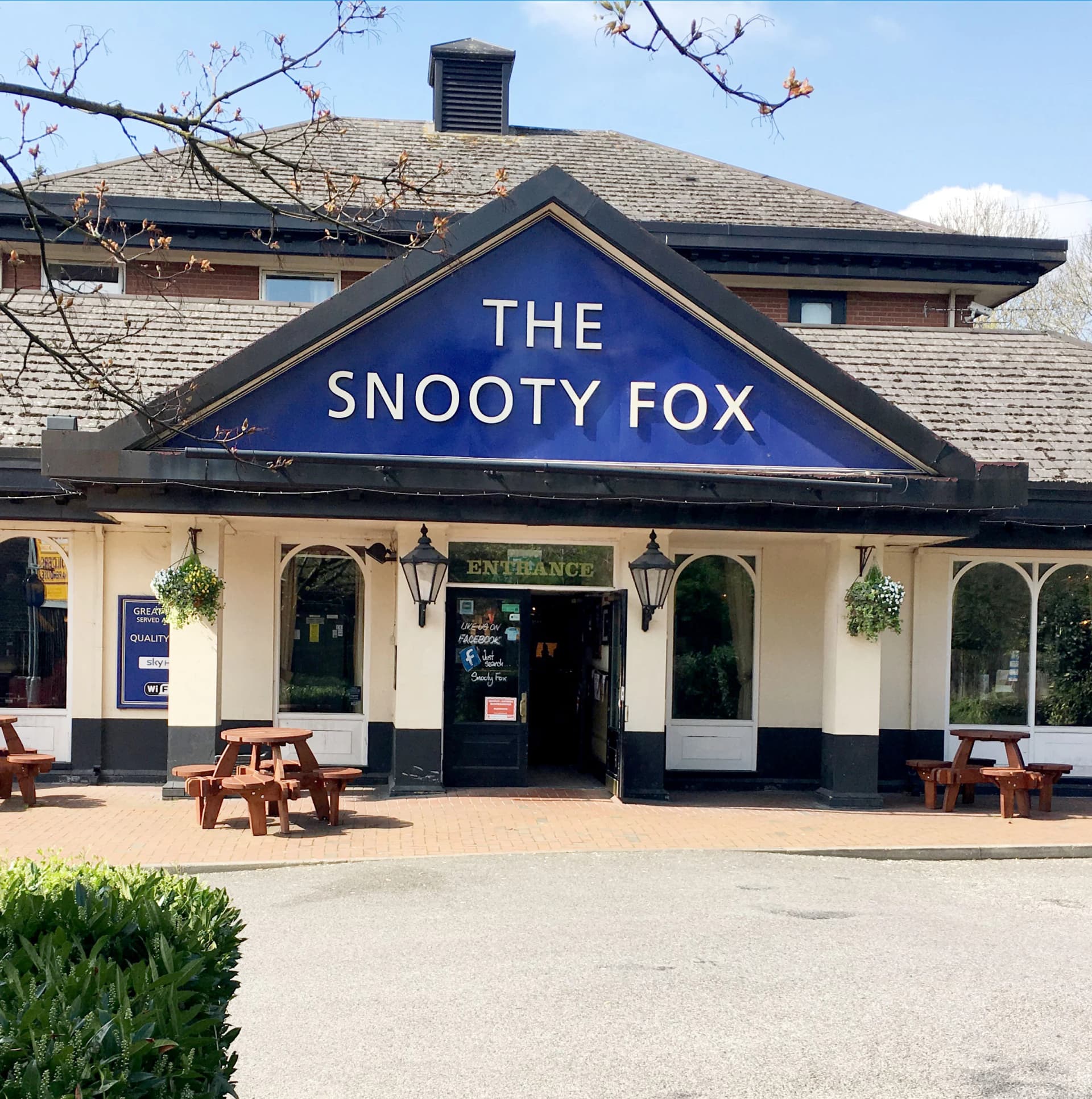 Snooty Fox