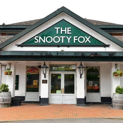 Snooty Fox
