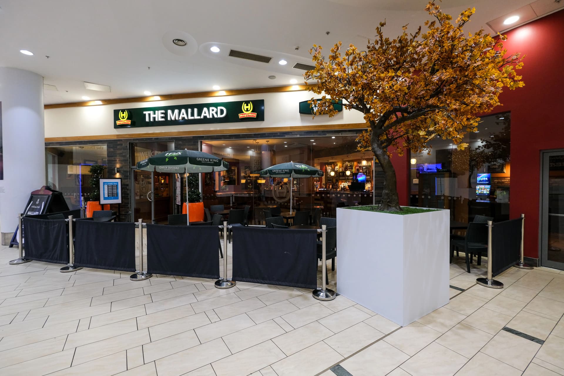 Mallard