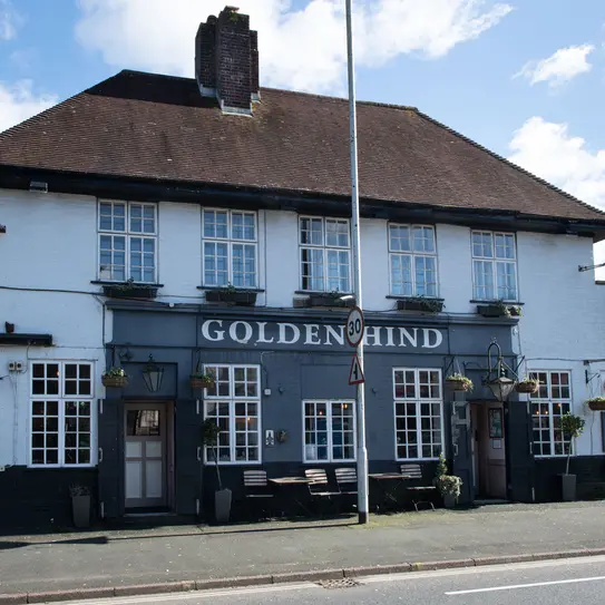 Golden Hind