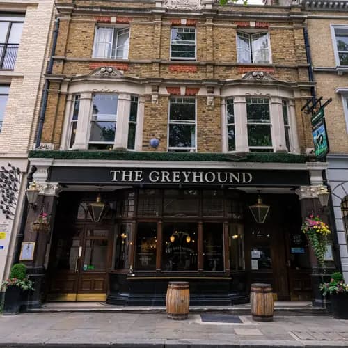 Greyhound