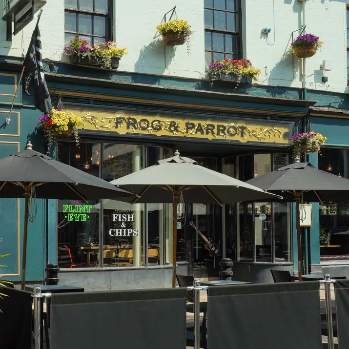 Frog & Parrot