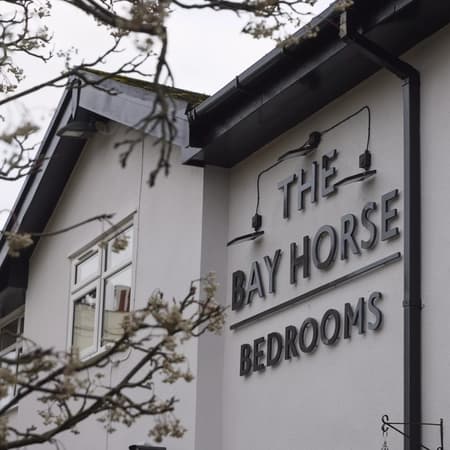Bay Horse