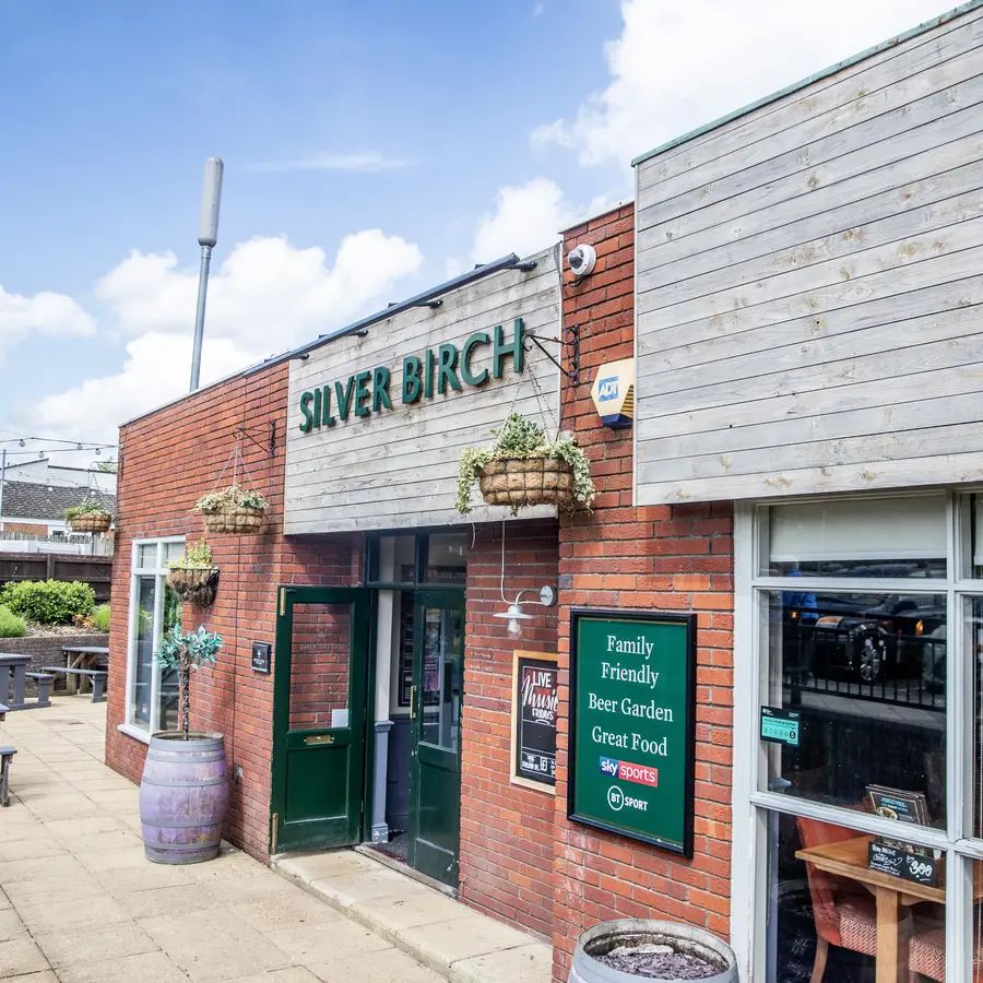 Silver Birch