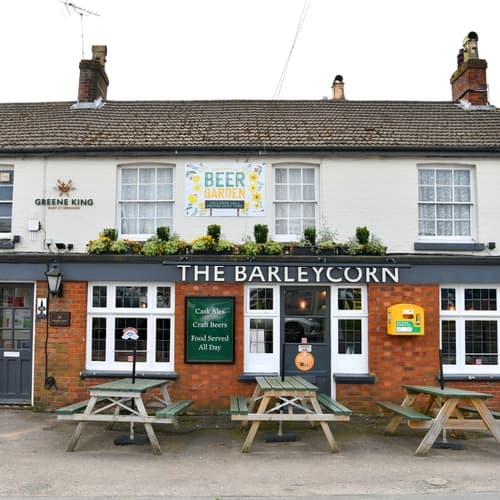 Barleycorn