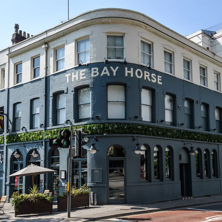Bay Horse