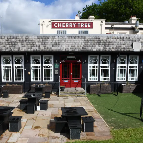 Cherry Tree
