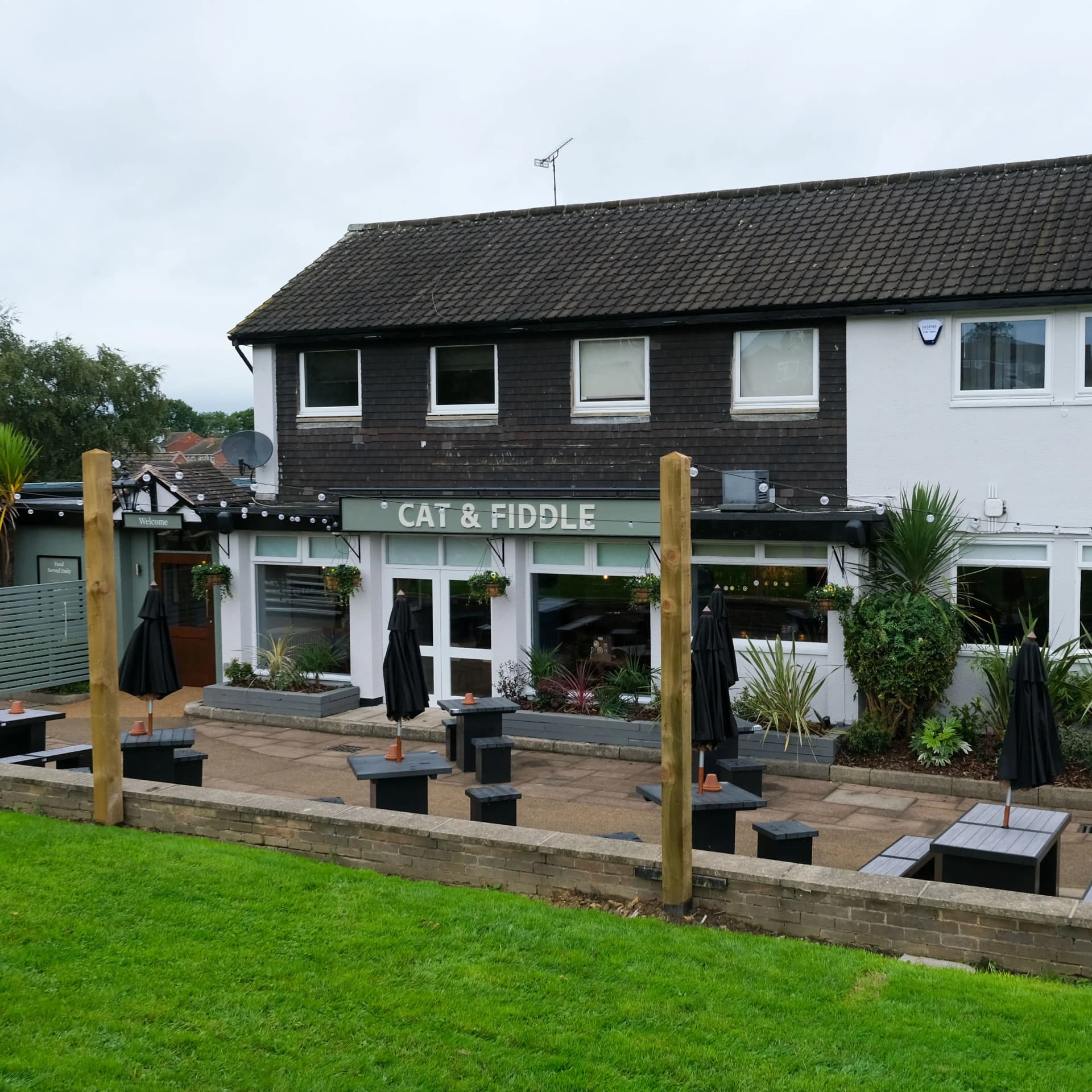 Cat & Fiddle